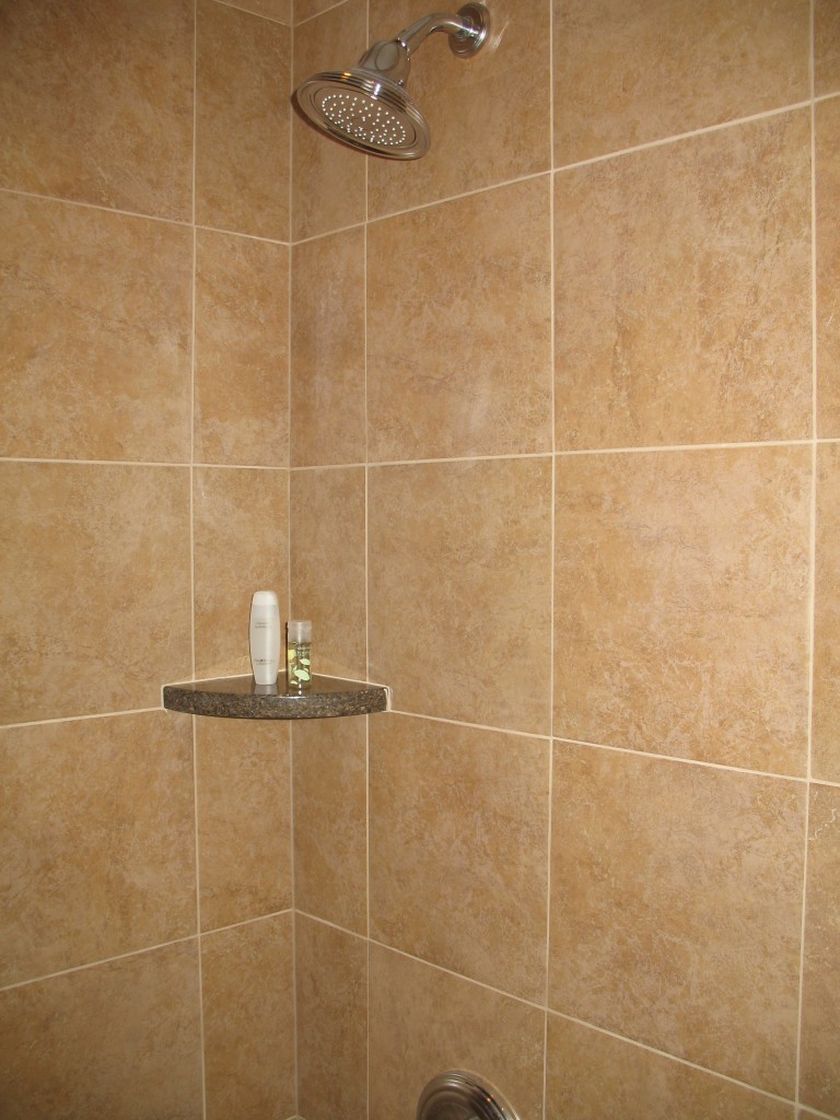 Williams 3 Guest Bath Aida Brown 12 x 12 with Tec Sandstone Grout #961