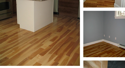 Yellow Birch Hardwood