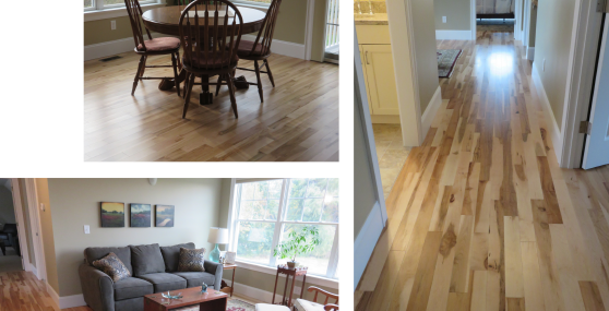 Autumn Hardwood 4